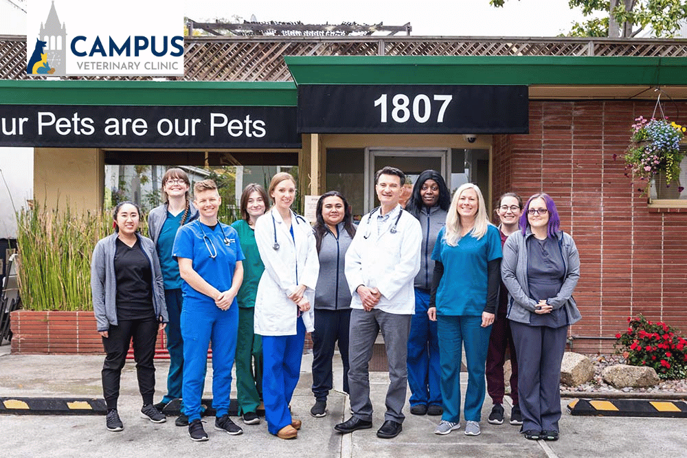  Campus Veterinary Clinic Team