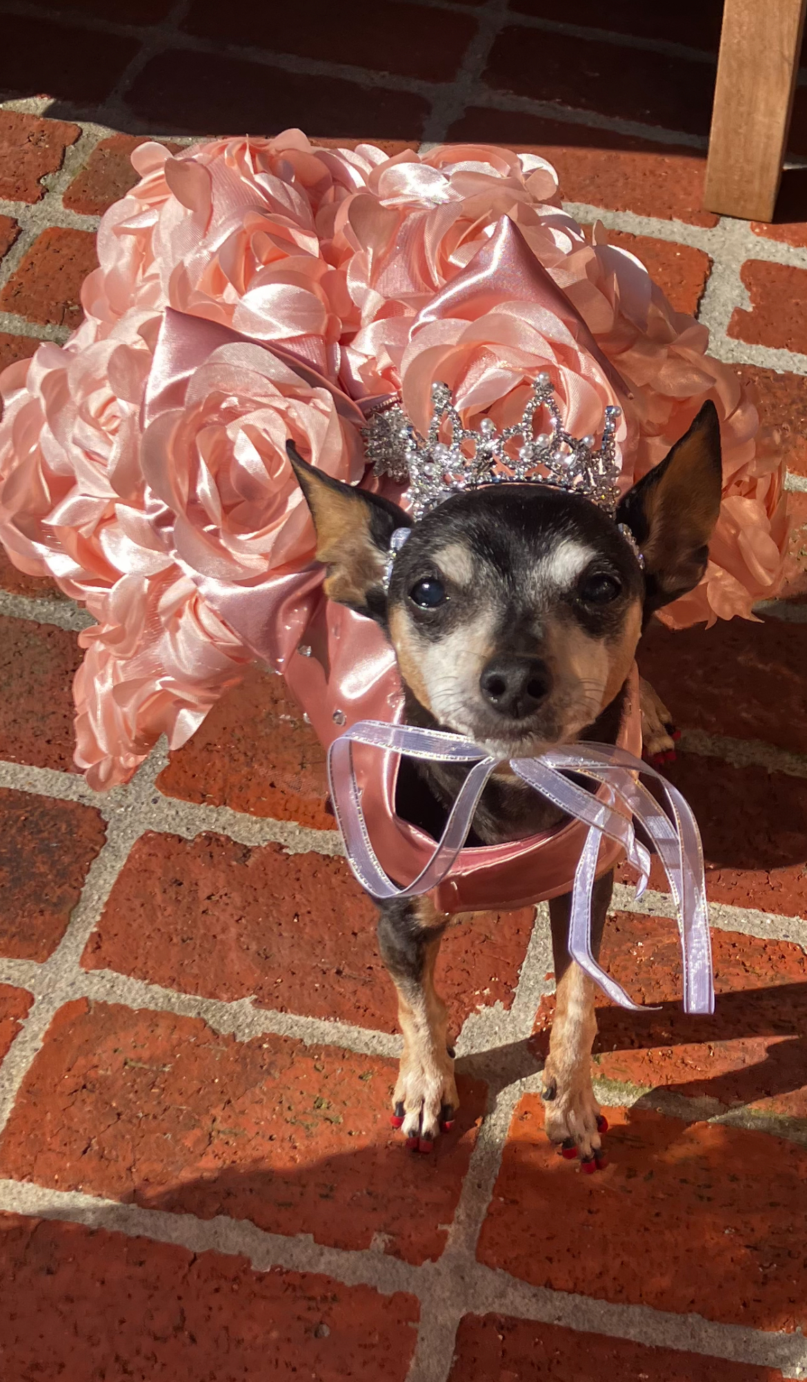 Princess Penny Kirby